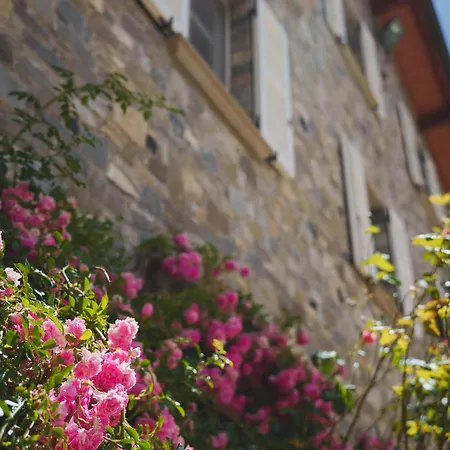 Bed and Breakfast La Rasora Fornovo di Taro