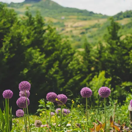 La Rasora Fornovo di Taro