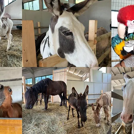 La Rasora 4* פורנובו די טארו