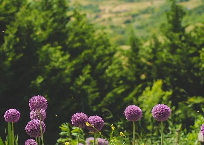 La Rasora פורנובו די טארו