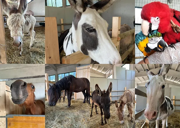 La Rasora 4* פורנובו די טארו