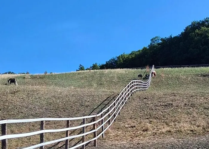 לינה וארוחת בוקר La Rasora 4*