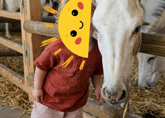 Bed & Breakfast La Rasora Fornovo di Taro