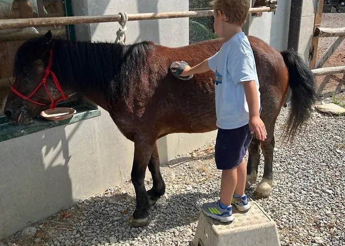 La Rasora לינה וארוחת בוקר 4*